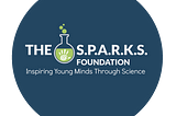 Marketing Plan for The Sparks Foundation(TSF)