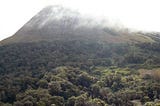 Hundreds Of New Species Discovered On Africa’s Isolated Sky Islands