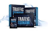 Traffic Tsunami: die neusten Erfahrungen zum Online-Kurs von Ralf Schmitz
