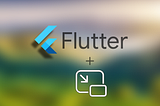 Flutter Picture in Picture View