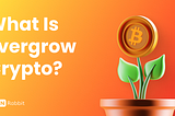 What is EverGrow crypto: Exploring its Revolutionary Impact