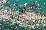 There’s Plastic in the Oceans and it might never degrade