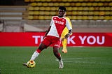 Aurelian Tchouameni Overview: