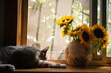 How the Akashics Can Help Heal Trauma