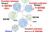 Scientists Discover New Enzyme Families That Break Down Rare Bacterial Carbohydrates