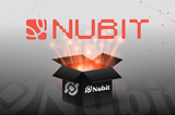 Nubit: Unveiling Our New Identity and Recent Milestones