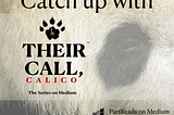 Catch up with Their Call, Calico on Medium