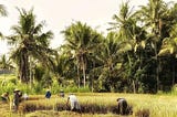 On the Journey to Just Energy Transition in Developing Countries: Implementation Challenges