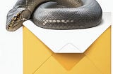 Python snake wrapped around an email