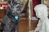 A small black dog stands next to a small statue of a seated Buddha