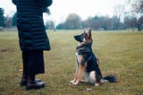 We Need A Better Word for Dog “Owner”