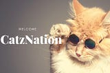 CatzCoin Renaissance