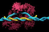 How to Win By Knock-Out (Scientists vs DNA Edition)