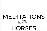 A Guidebook For Working Therapeutically With Horses