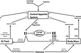 What is the effect of stress on the human appetite?