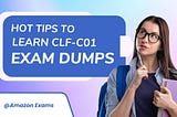 CLF-C01 Dumps