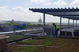 Green Roofs, Green Buildings, Green Cities