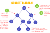 Lets Implement Binary Search Tree