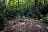 The Weekend Gold Rush: Roadside Camping in Pisgah National Forest