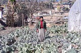 In Bhutan, Women farmers are contributing to food safety for their families and communities