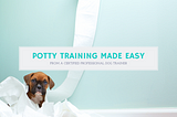 Puppy Potty Training — A Step-by-Step Guide