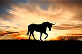 Stop Chasing Unicorns — Build Profitable Businesses