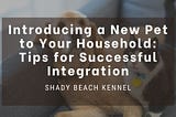 Introducing a New Pet to Your Household: Tips for Successful Integration