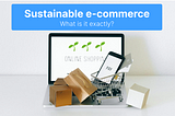 (Re)Defining sustainable e-commerce