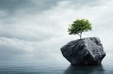3 Tips To Increase Your Ability To Become More Resilient