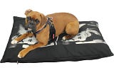 Doggy Beds: Choose the Best Dog Bed for Your Pet