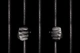 The Necessity of Prison Reform