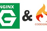 How to deal with index.php in CodeIgniter on the Nginx server