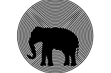 An Interview with the CEO of Elephant