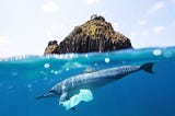 127 Countries Now Regulate Plastic Bags. Why Aren’t We Seeing Less Pollution?