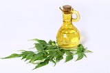 Top 5 Reasons to Utilize Neem Oil