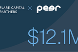 Investing in Peer AI