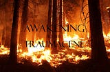 Awakening to the Traumacene