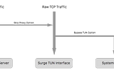 Surge Manual 中文版