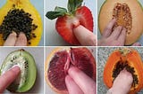 Can fruit be porn — Artist Stephanie Sarley challenges society’s aversion to female sexuality!