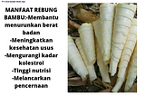 Pusat Budidaya Herbal Rebung Bambu Betung Tambak Bayumas