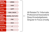 Understanding The Information Strategist