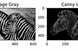 Canny Edge Detection Algorithm with Python