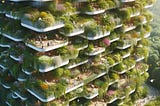 How to Design a Stunning Vertical Garden That Complements Your Apartment?