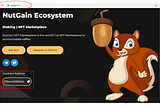 How to Add NutGain Token to your Metamask Wallet