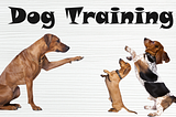 Dog training The Significance of Dog Training