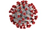 An artist’s impression of the Covid-19. It has a grey spherical centre with a lot of red protrusions that are spike proteins.