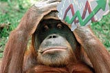 The Monkey Portfolio — Can Monkeys Beat the Market?