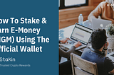 How to stake and earn E-Money (NGM) using the official wallet