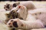 Tired of discipline? Start your procrastinating journey with 5 steps
