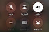 Political and Personal Growth- One Phone Call at a Time